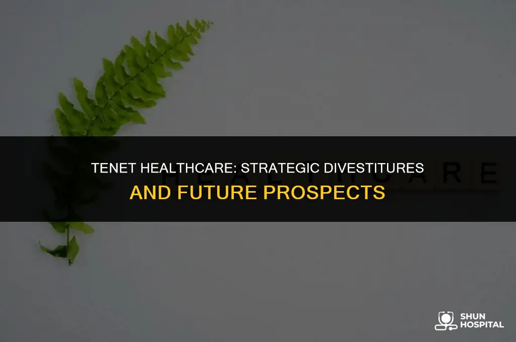 what hospitals is tenet selling