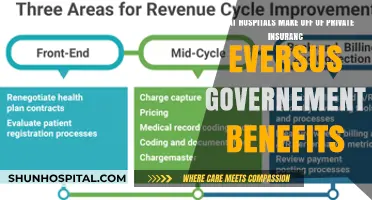 Private Insurance Profits vs. Government Benefits: Hospital Revenue Breakdown