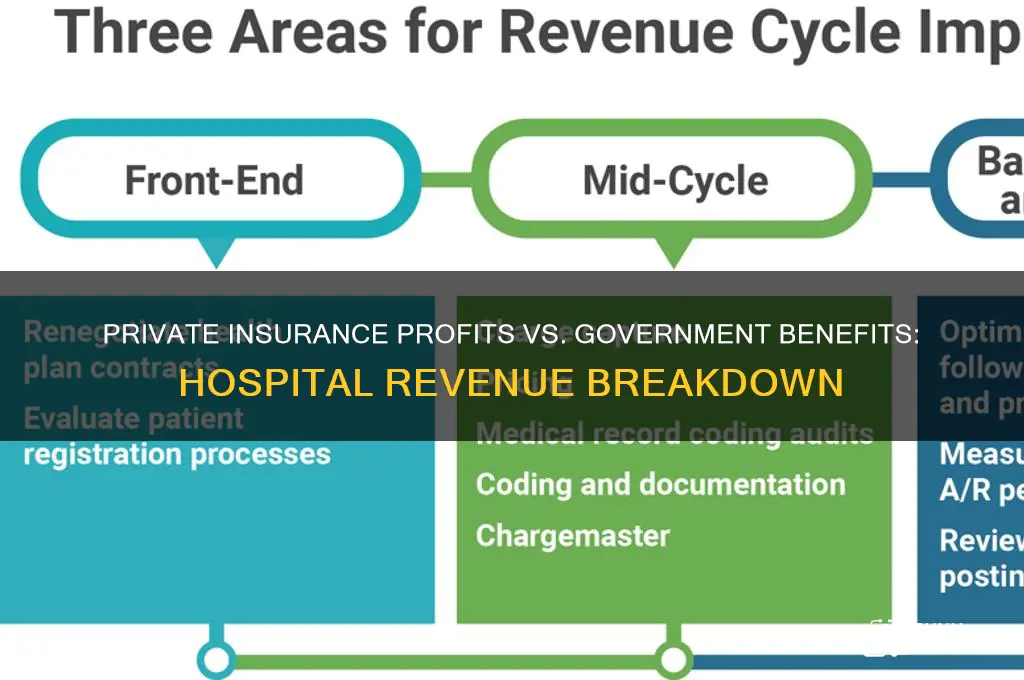 what hospitals make off of private insuranc eversus governement benefits
