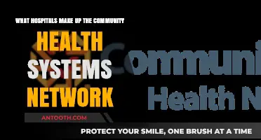 Exploring the Community Health Systems Network: Key Hospitals and Their Roles