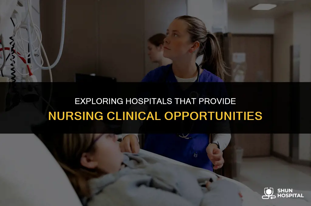 what hospitals offer nursing clinicals