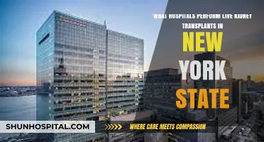 Top New York Hospitals for Live Kidney Transplants: A Comprehensive Guide