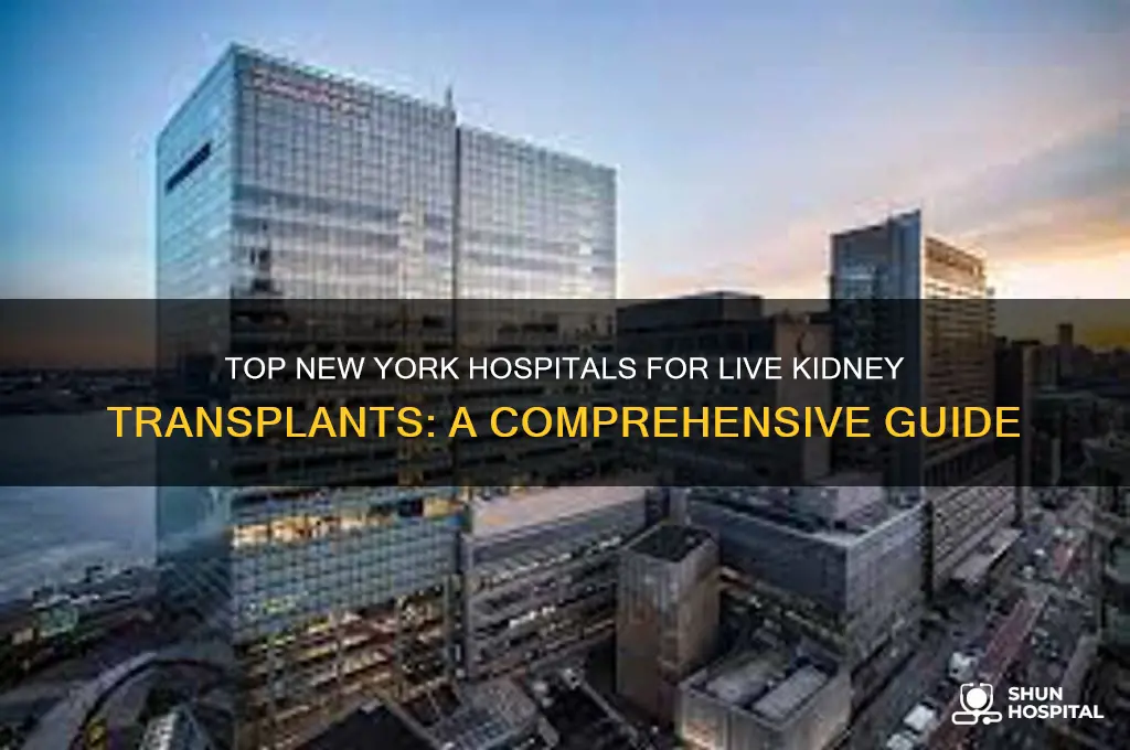 what hospitals perform live kidney transplants in new york state