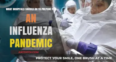Preparing for the Flu Pandemic: Essential Hospital Strategies and Readiness Steps