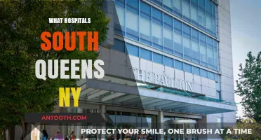 Exploring Healthcare Options: Top Hospitals in South Queens, NY