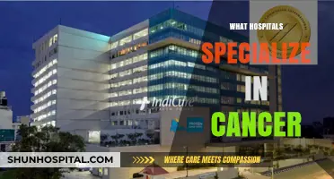 Exploring Specialized Cancer Care: A Guide to Top Hospitals
