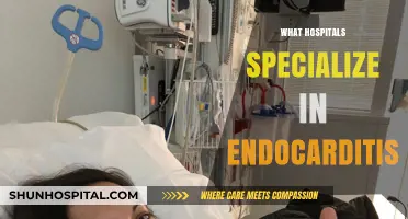 Exploring Hospitals That Excel in Endocarditis Treatment and Care