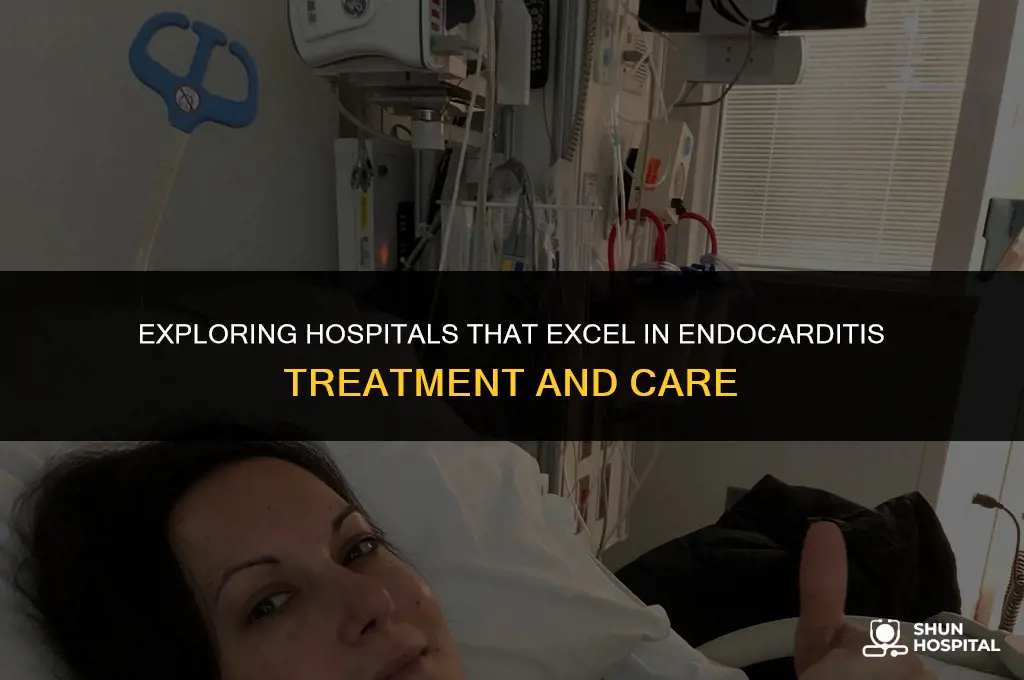 what hospitals specialize in endocarditis