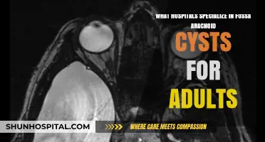 Adult Fossa Aracnoid Cyst Treatment: Specialized Hospitals and Expert Care