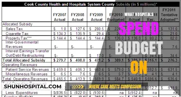 Unveiling Hospital Budget Allocation: A Comprehensive Breakdown