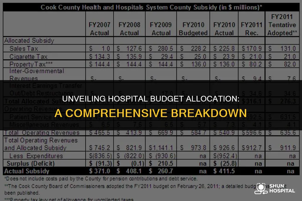 what hospitals spend budget on