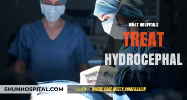 Exploring Top Hospitals for Hydrocephalus Treatment: A Comprehensive Guide