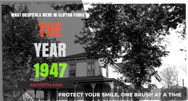 Clifton Forge's 1947 Healthcare: Exploring Hospitals of the Past