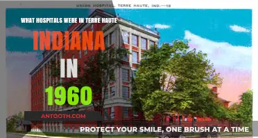 Terre Haute's 1960 Healthcare Landscape: Hospitals Serving the Community