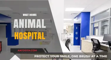 Compassionate Care Around the Clock: Your Guide to 24/7 Animal Hospitals