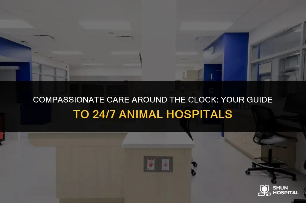 what hours animal hospital