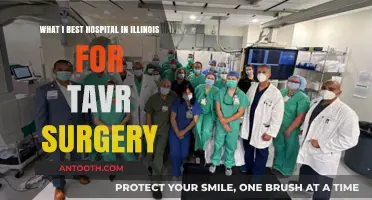 Top Illinois Hospitals for TAVR Surgery: Expert Care & Outcomes