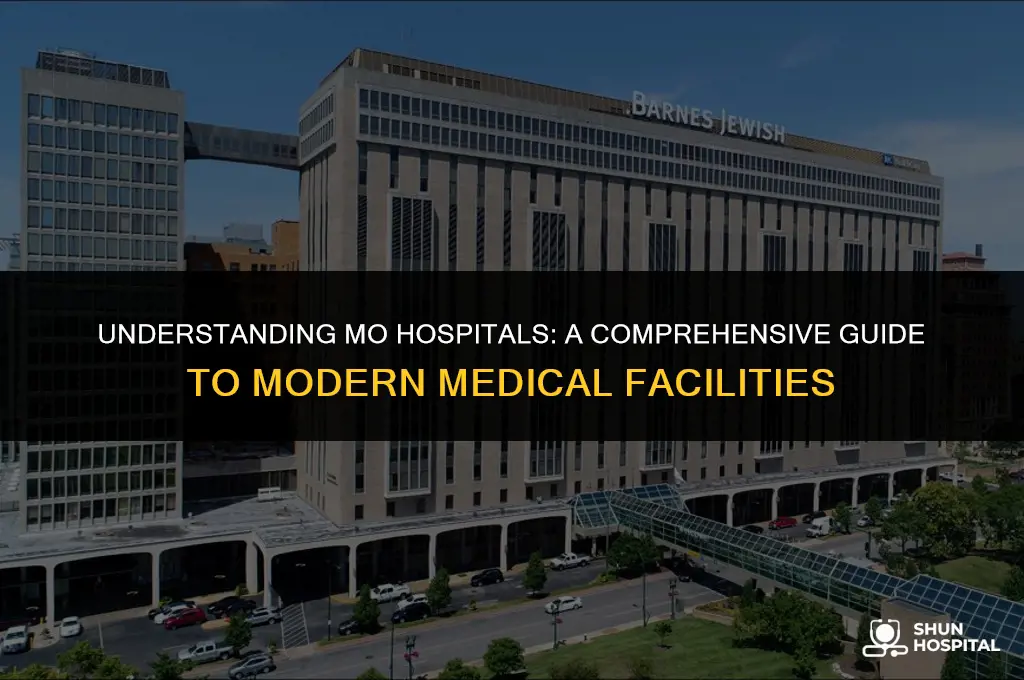 what ia an mo hospital