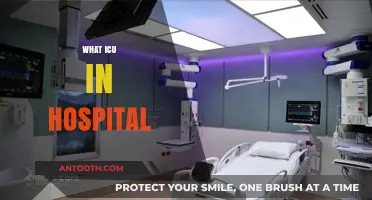 Understanding the Lifeline of Critical Care: What is an ICU in a Hospital?