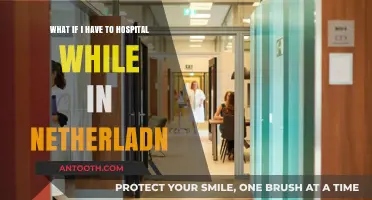 Hospitalized in the Netherlands: What to Expect and How to Prepare