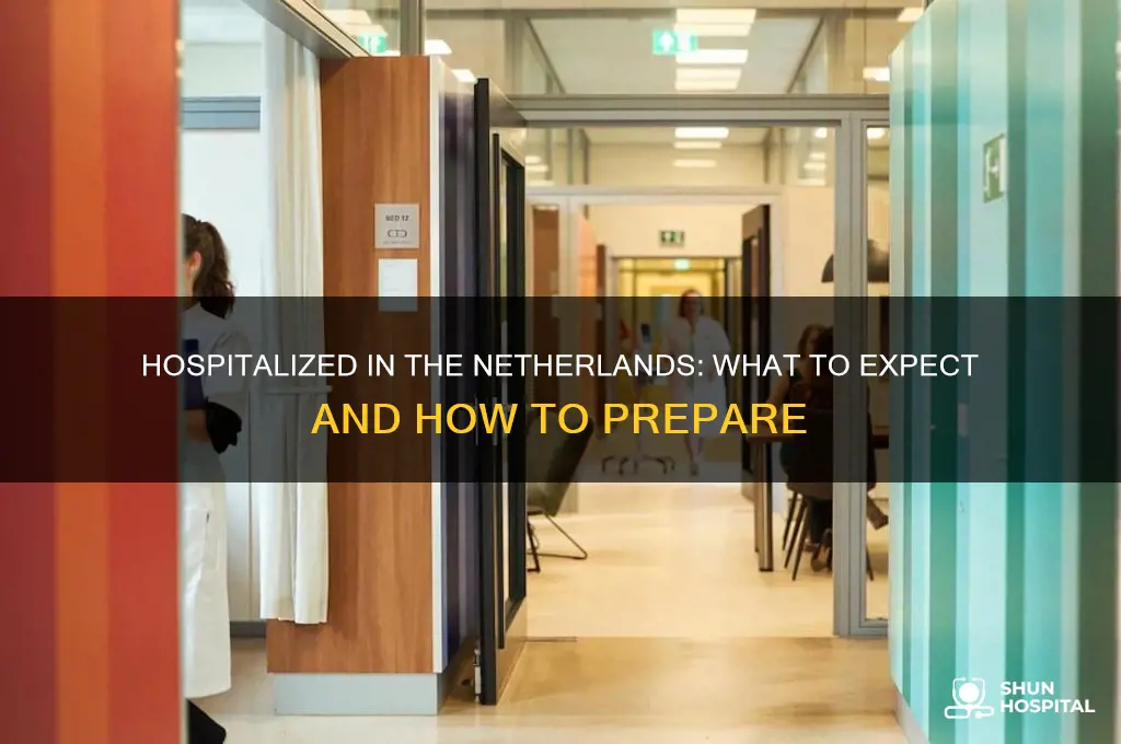 what if i have to hospital while in netherladn