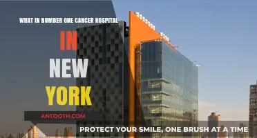 Discovering New York's Top Cancer Hospital: A Comprehensive Guide