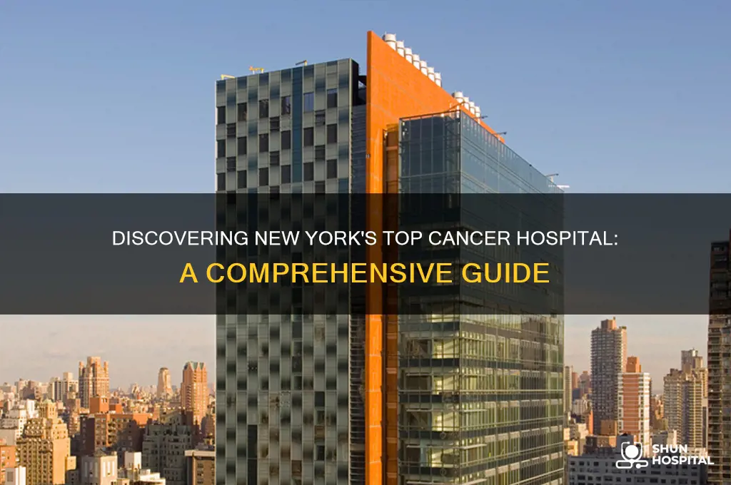 what in number one cancer hospital in new york