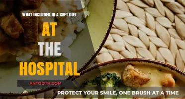 Understanding Hospital Soft Diets: Foods, Benefits, and Meal Planning Tips
