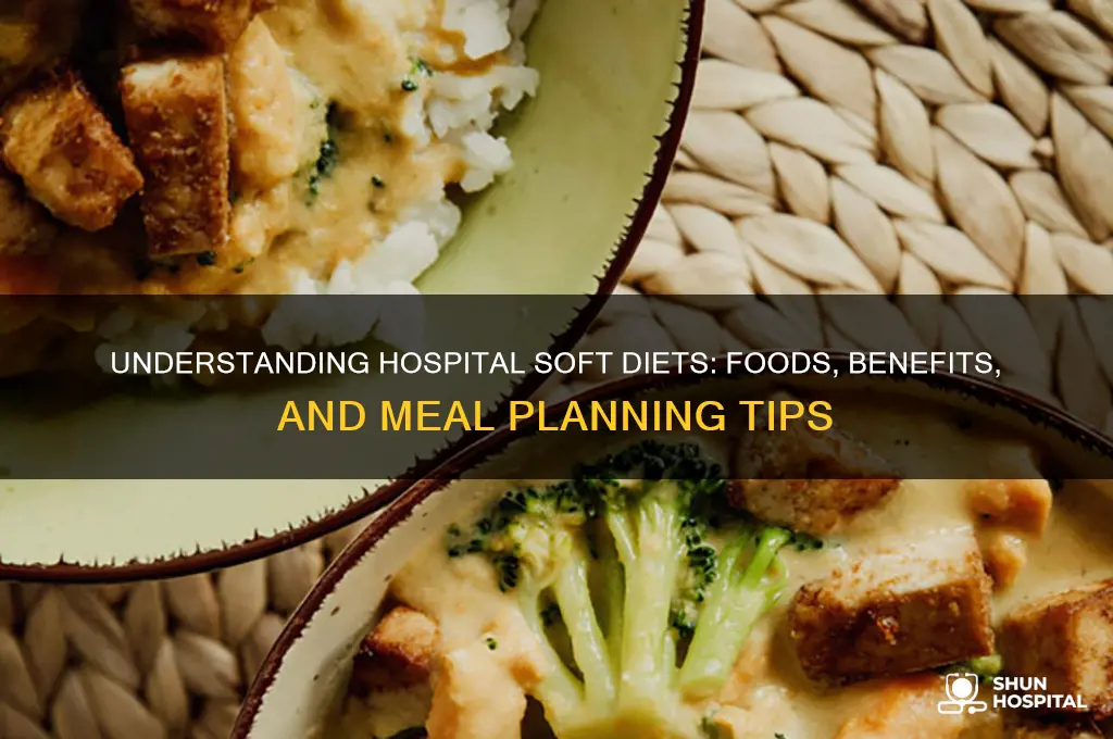 what included in a soft diet at the hospital