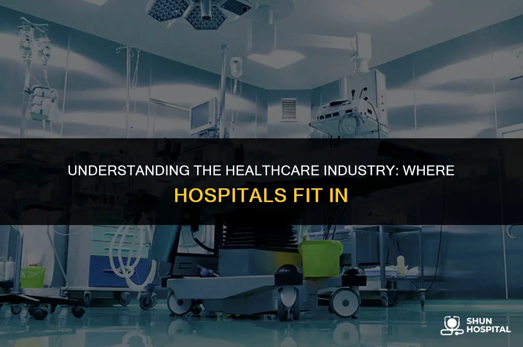 what industry are hospitals in