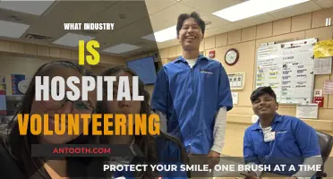 Exploring the Impact of Hospital Volunteering Across Various Industries