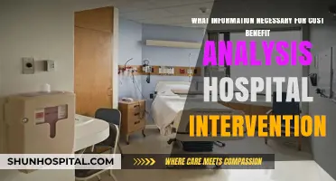 Essential Data for Hospital Intervention Cost-Benefit Analysis Explained