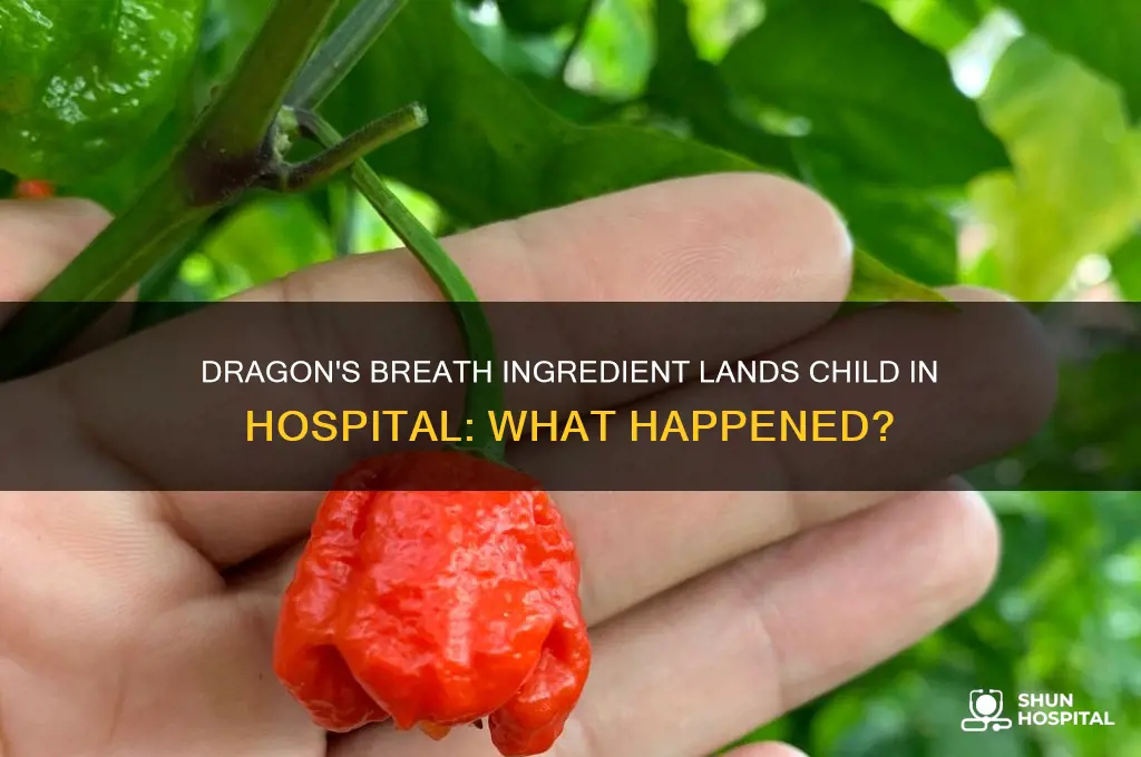what ingredient in dragons breathe ended a child in hospital