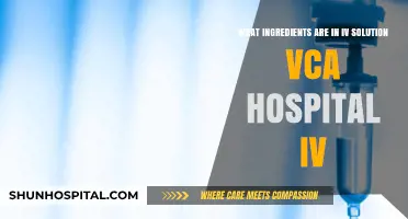 Understanding IV Solution Ingredients Used at VCA Hospitals for Pet Care