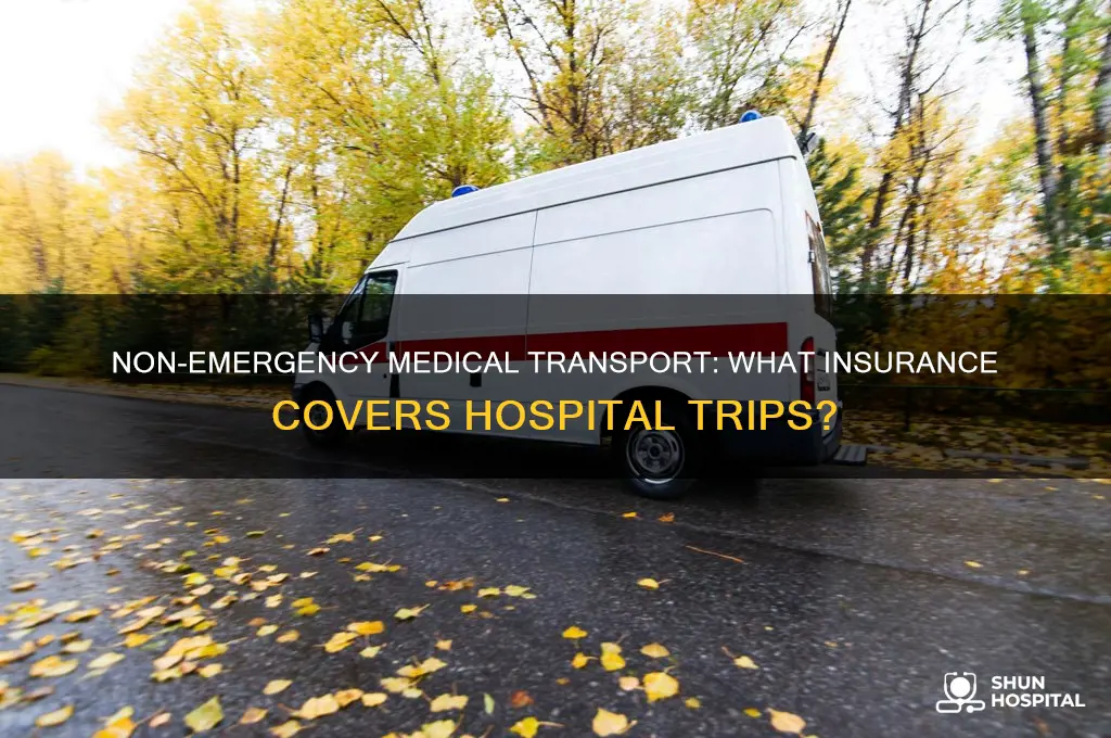 what insurance covers taking people back and forth to hospital