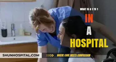 Understanding 1:1 Patient Care in Hospitals: Roles and Importance