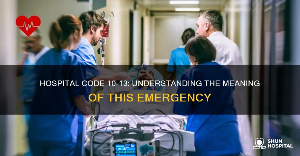 what is a 10 13 hospital code