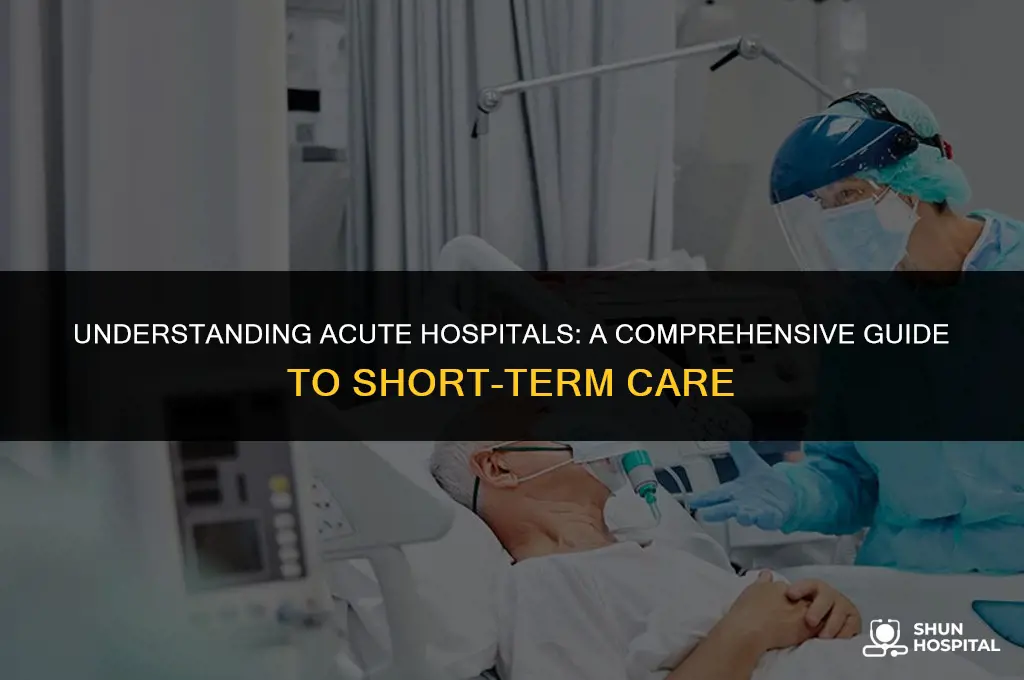 what is a acute hospital