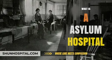 Understanding Asylum Hospitals: A Comprehensive Guide