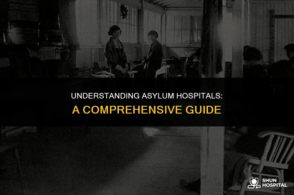 what is a asylum hospital