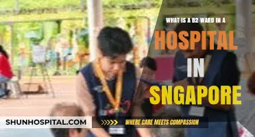 Understanding Singapore's B2 Hospital Ward: Facilities, Costs, and Patient Care