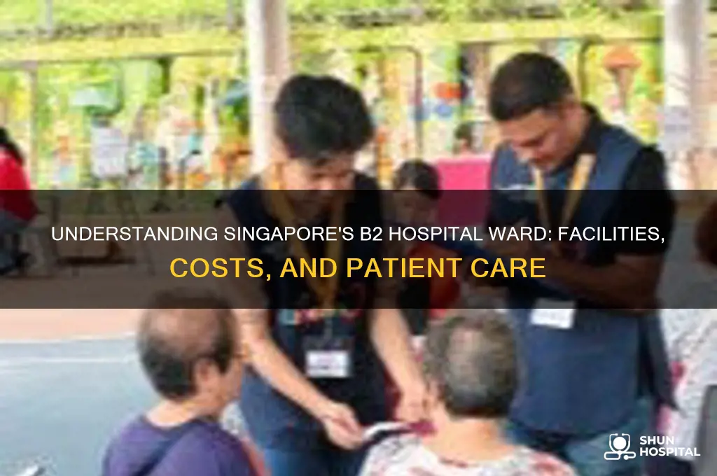 what is a b2 ward in a hospital in sngapore