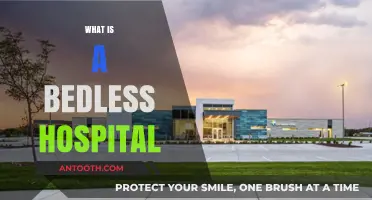 Exploring the Concept of Bedless Hospitals: A Modern Healthcare Approach