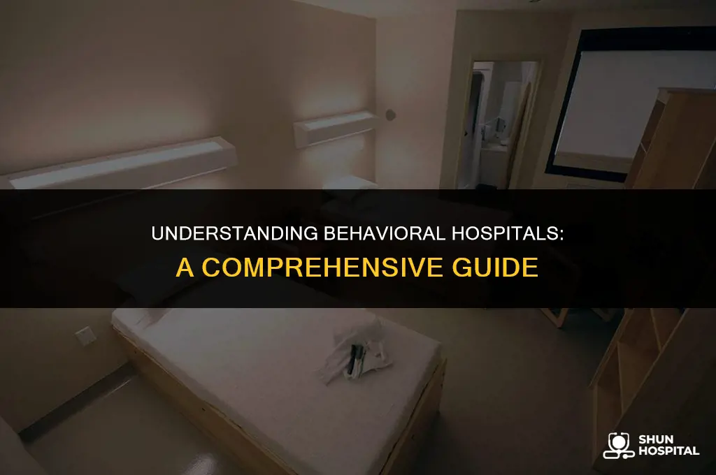 what is a behavior hospital