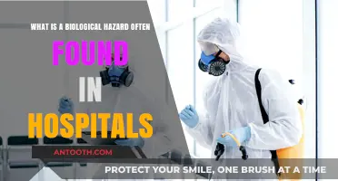 Hospital Biological Hazards: Common Risks and Prevention Strategies Explained