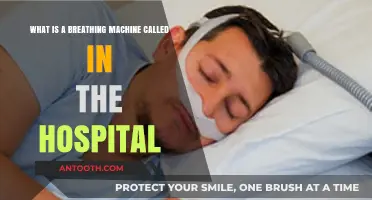 Understanding Hospital Breathing Machines: What Are They Called and How They Work
