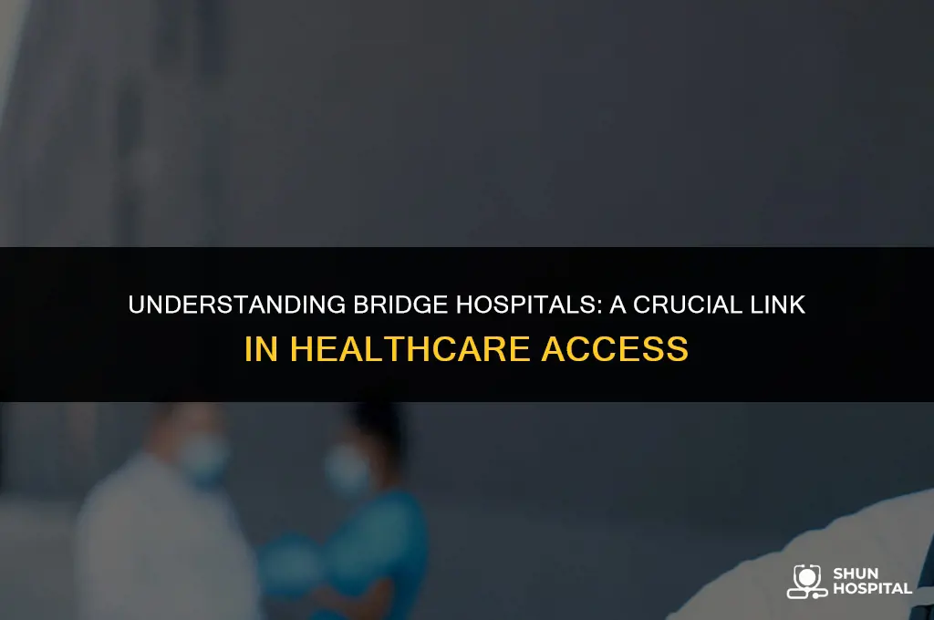 what is a bridge hospital