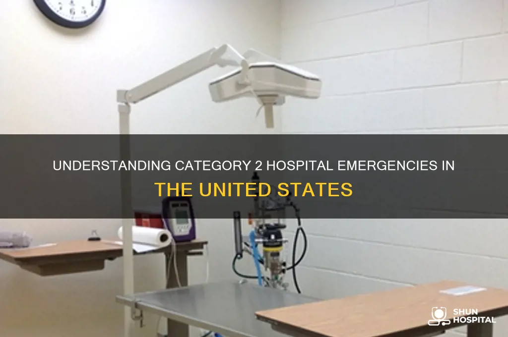 what is a category 2 in a hospital usa