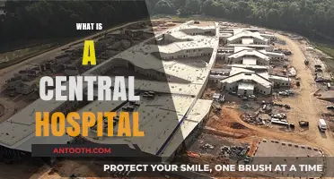 Understanding Central Hospitals: A Comprehensive Guide to Their Role and Importance