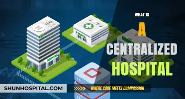 Understanding Centralized Hospitals: A Comprehensive Guide